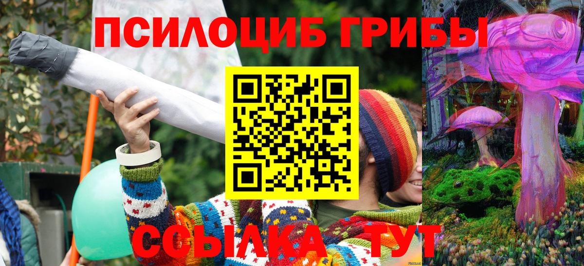 Кыштым  Галлюциногенные грибы прущие грибы  Вход с VPN 